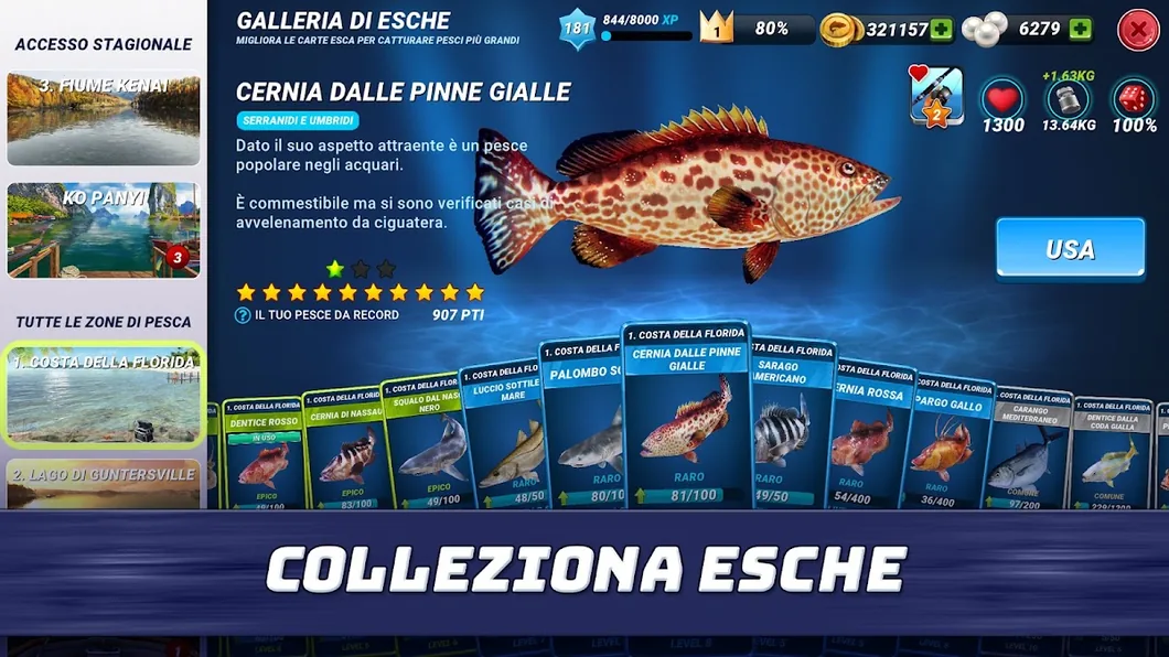 Scheda della cernia dalle pinne gialle nella Galleria di esche, con il record personale di 907 punti